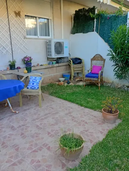 Rx-mallorca: Charming ground floor in Puerto de Alcudia — photo 4