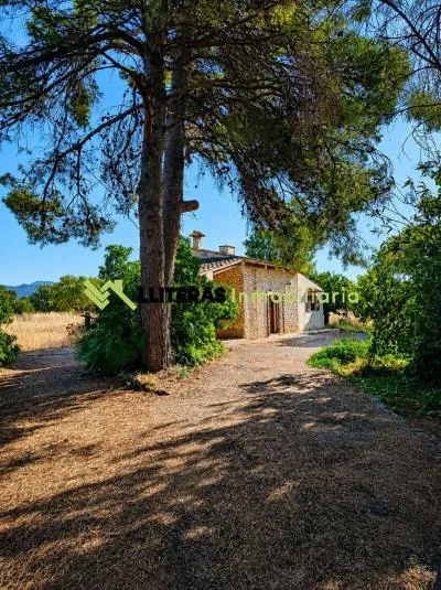 Rustic property - Lloseta, Built Surface 71m², Plot Surface 18065m², 1 Bathroom — photo 1