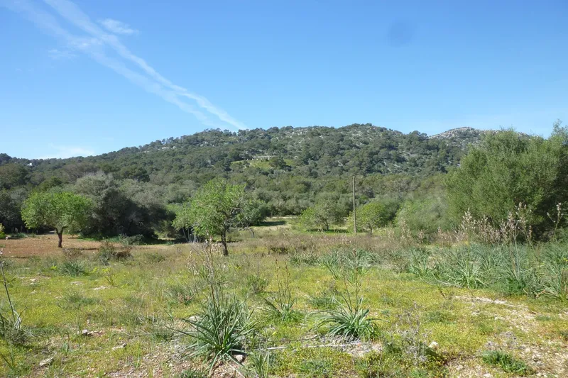 Large building plot for finca project in a quiet location near Son Macià — photo 5