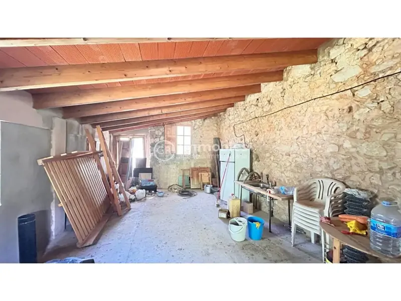 Rustic finca in Alaró of 22,600 m² in ANEI area — photo 9