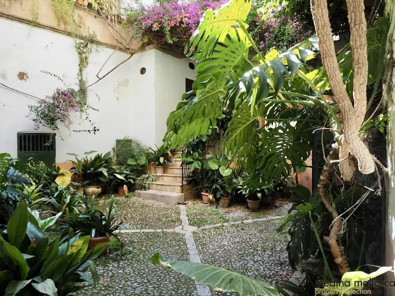 16th-century manor house in the center of Palma — photo 2