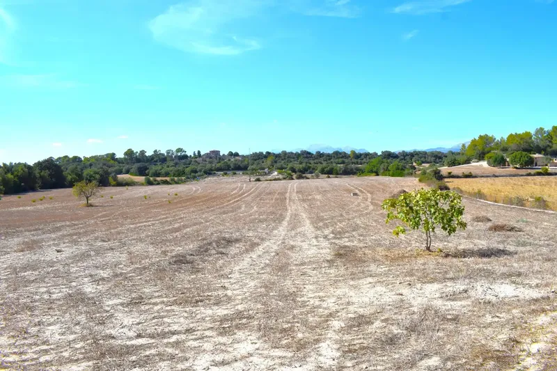Finca rústica edificable de 32.462 m2, situada entre Llubí y Santa Margalida, en un entorno tranquilo y con hermosas vistas abiertas a la Se — photo 9