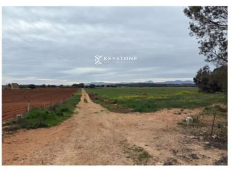 Plot — photo 12
