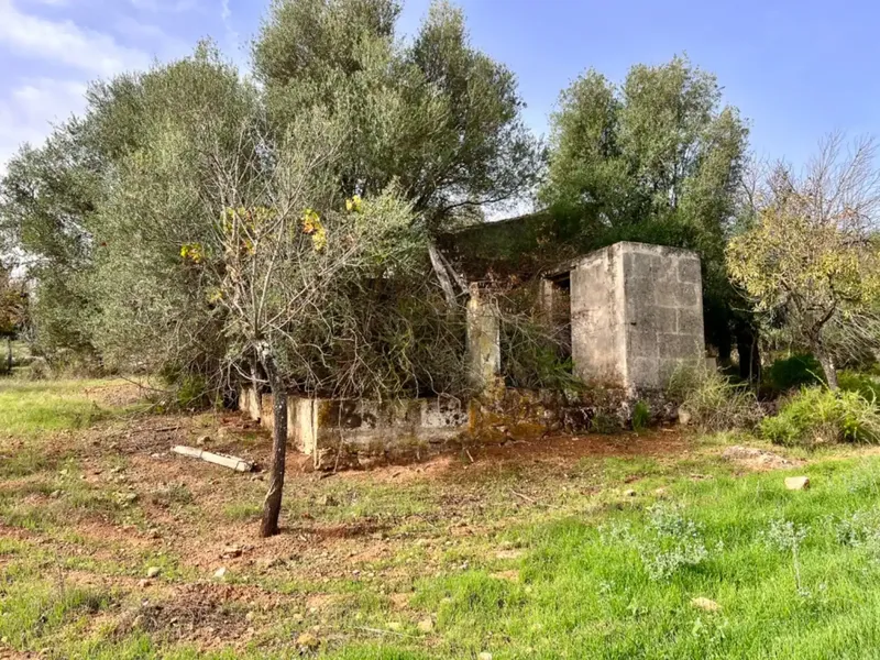 Finca with project in Campanet, near 17,400 m2 of land, with views of the Serra de Tramontana and the area of the Caves of Campanet — photo 1