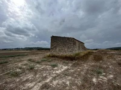 Rural Land - Sant Joan (Centro), Plot Surface 17056m² — photo 4