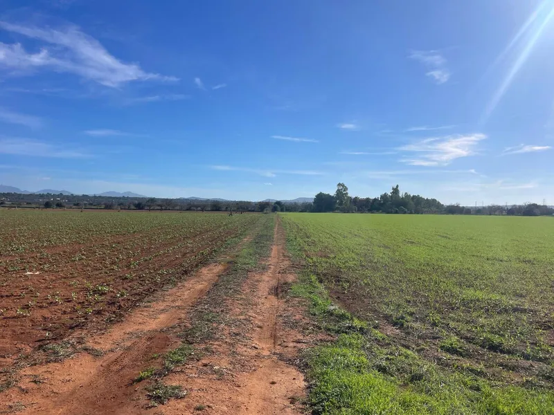 Nice building plot with views of Randaberg, Campos — photo 2
