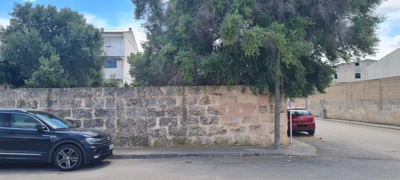 Buildable urban plot of 540 m² in Muro, Mallorca — photo 3