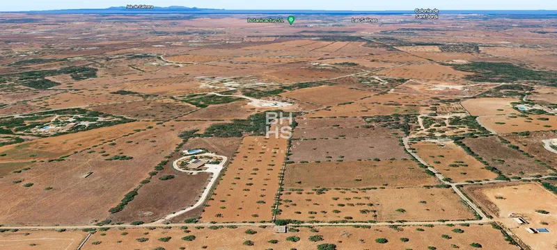 Country plot for sale in Santanyí — photo 2