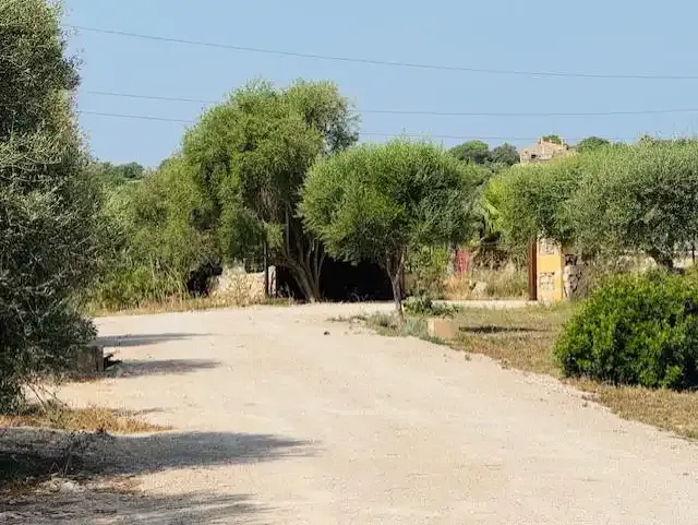 Discover this charming romantic finca located just 10 minutes from the vibrant city of Manacor and very close to the prestigious school — photo 2