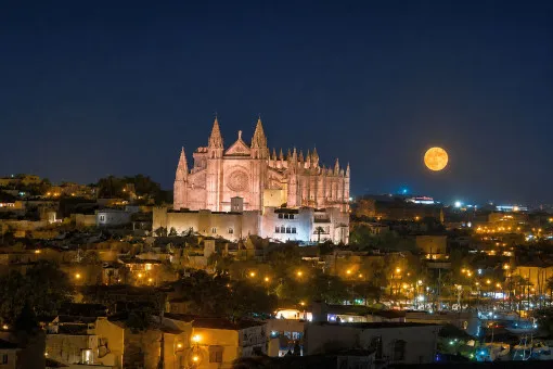 Son Armadams, exclusive penthouse with spacious L-shaped terrace and views over Palma, the harbour and the cathedral — photo 5