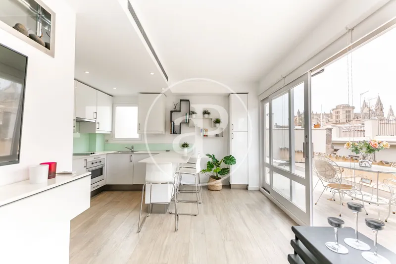Penthouse for Temporary Rental in Sa Calatrava — photo 11