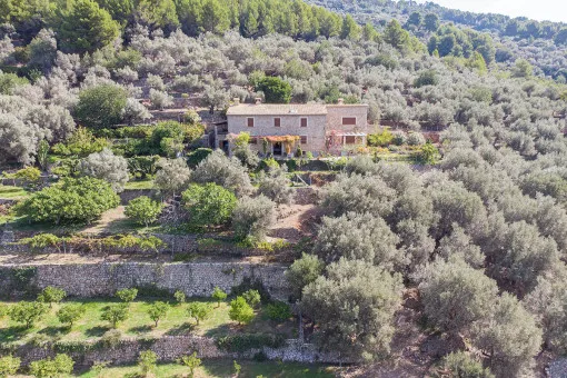 Sóller: Exceptional finca estate with its own vineyard and beautiful views near Sóller — photo 3