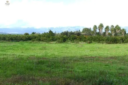 Rustic property - Llubí (Llubi), Built Surface 208m², Plot Surface 7500m², Distance to the sea 15 km — photo 6