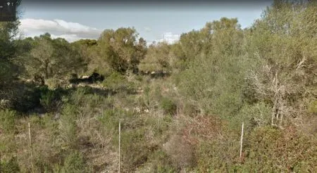 Urban plot of land - Llucmajor (Llucmajor (Campo)), plot surface 302.67m2 — photo 4