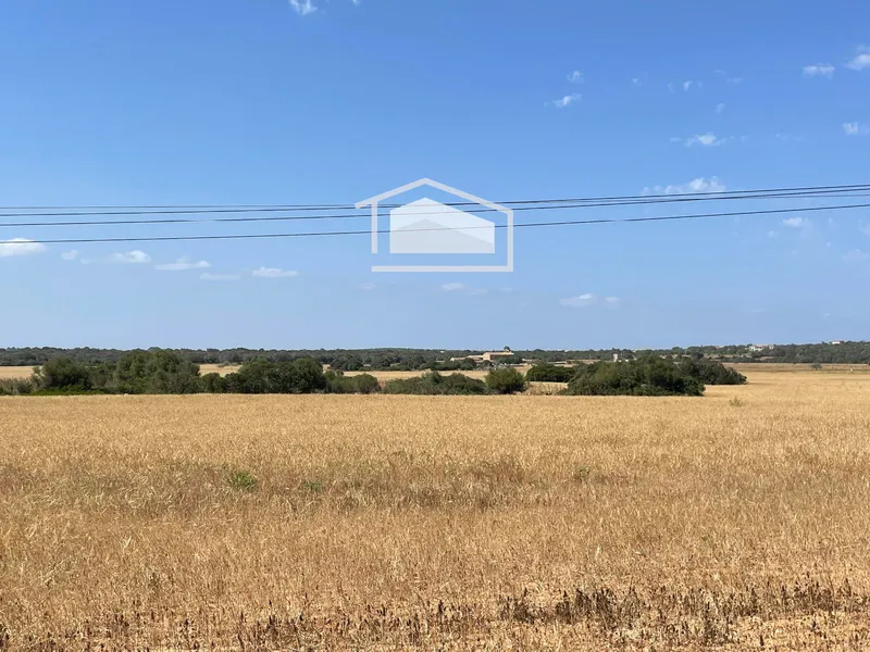 Buildable rustic plot of 16,237 m² in Ses Salines with approved project — photo 1