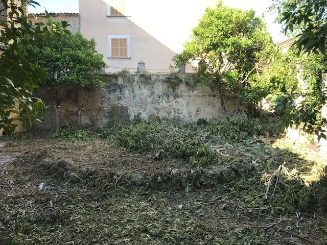 Historic building in the center of Sineu — photo 8