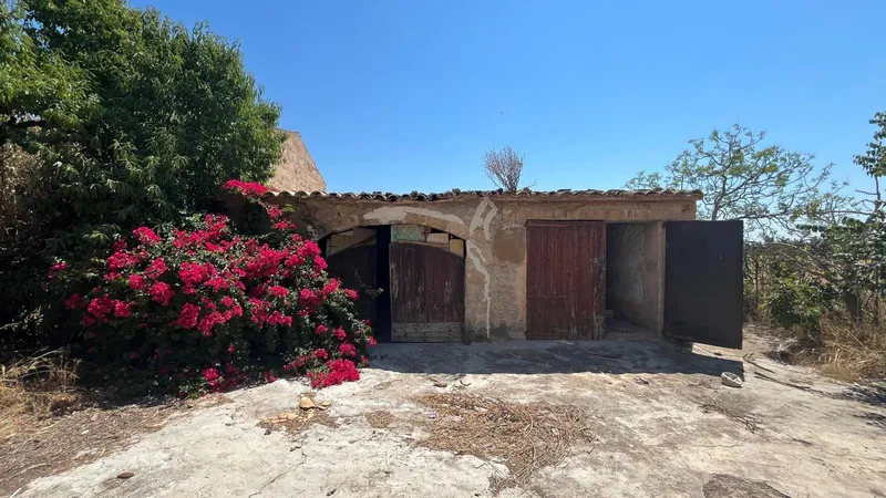 Mallorcan finca for renovation with flat land and safareig — photo 4