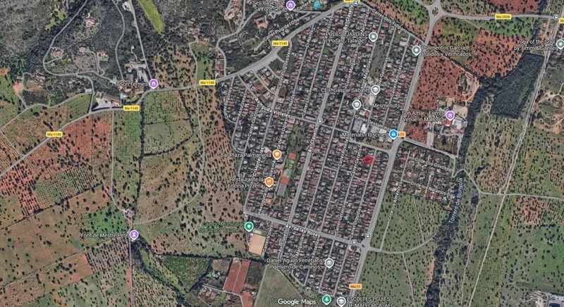 Land in Bunyola, Province of Balearic Islands — photo 5