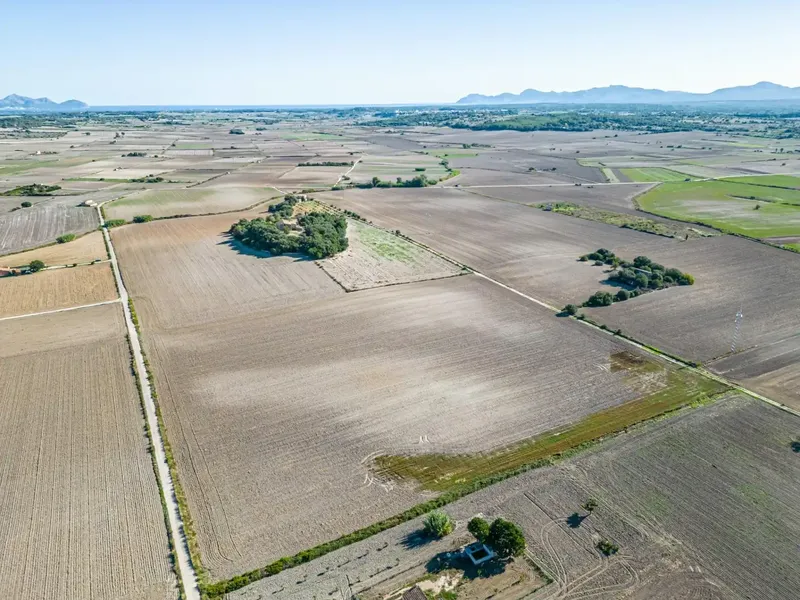 Rustic plot of 42,618 m2 for sale with New Building License granted, for the construction of a single-family house, one story — photo 11
