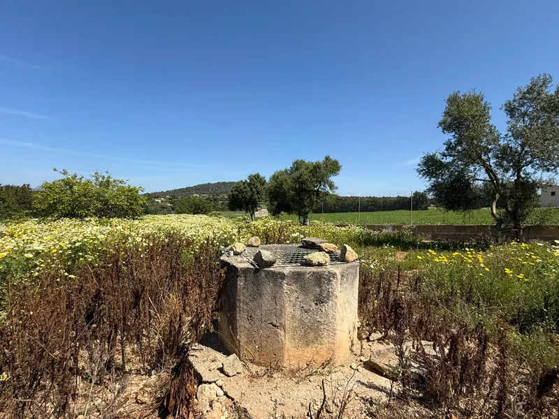 Rustic finca with project and building permits — photo 4