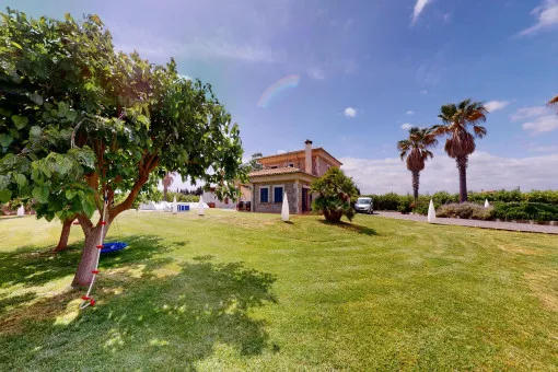 Muro: Natural stone finca with pool and olive tree plantation near Playa de Muro — photo 2
