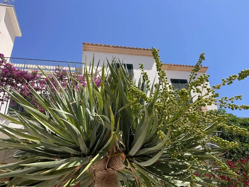Apartment in Cala Santanyí, Province of Balearic Islands — photo 9