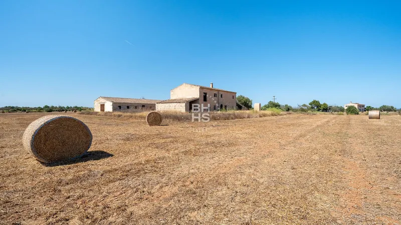 Rustic Finca for sale in Campos — photo 2