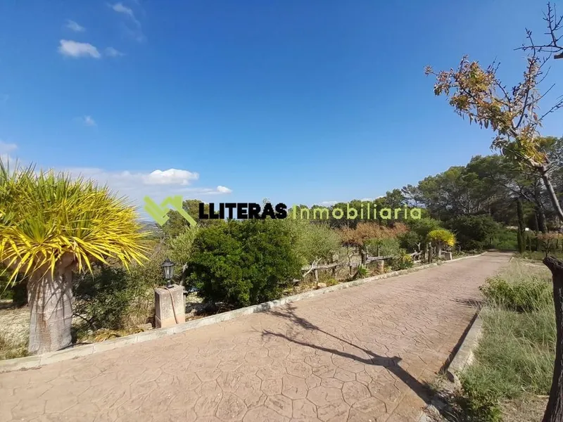 Rural or Farmhouse in Selva, Province of Balearic Islands — photo 6
