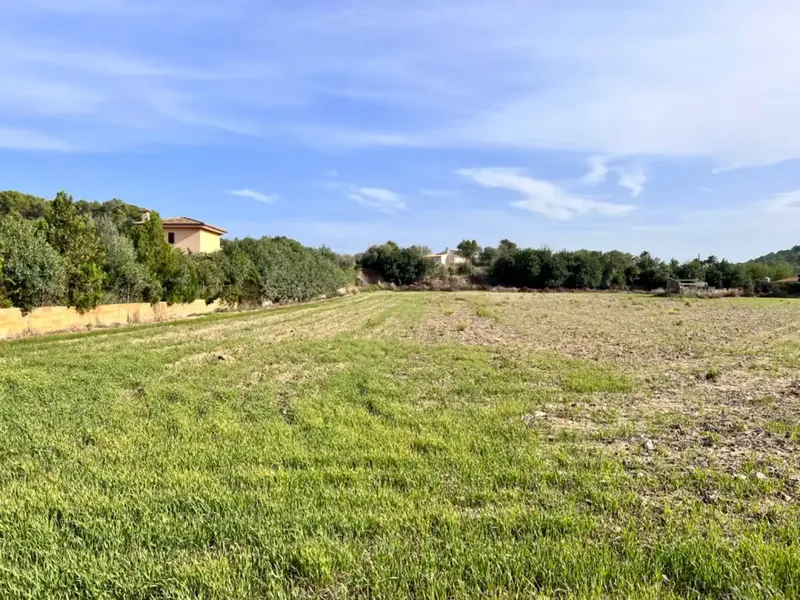 On the outskirts of Alcudia, we have this finca of about 12,900 m2 of land, with a water well, fenced finca, with 1 building in ruins. — photo 8