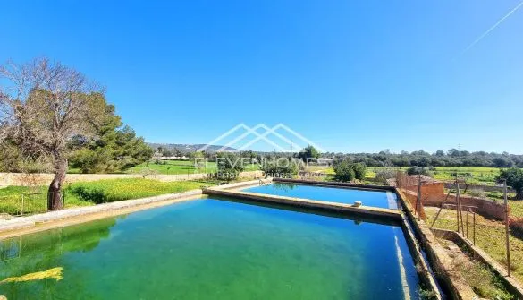 Country House in Palma — photo 1