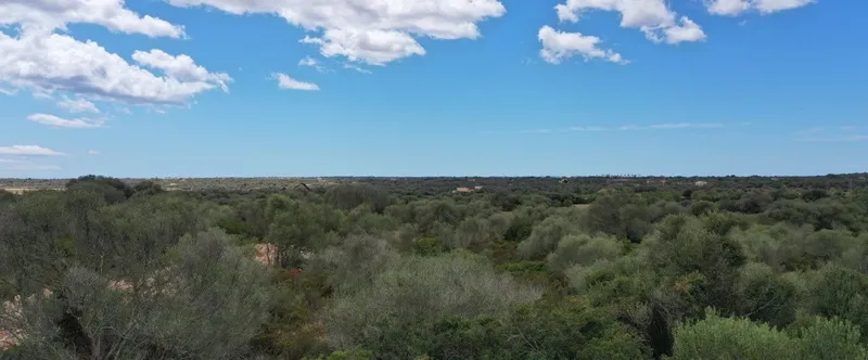 Large plot in a quiet area a few minutes from Santanyi — photo 4