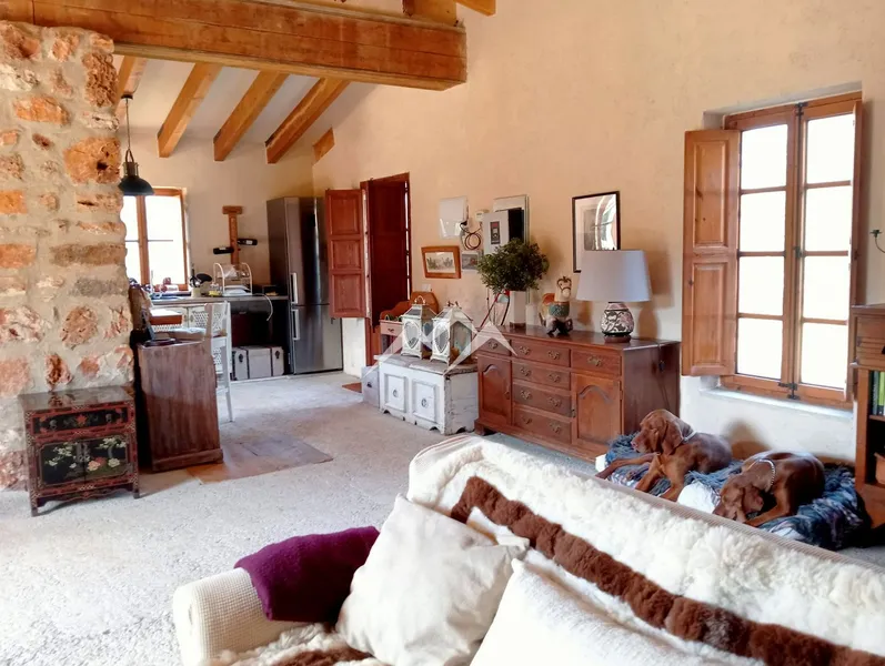 Rustic Estate with Project and License, Sencelles — photo 10