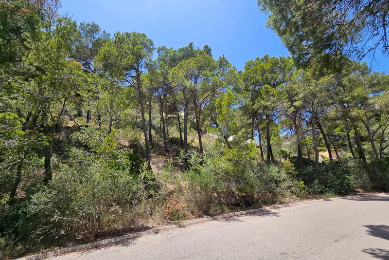 Large sea-view building land with three plots in Port Andratx 1 — photo 4