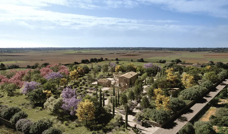 Farm project in Santanyí — photo 4