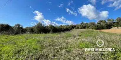Real estate picture 0 Ref. No. 73251 — photo 8