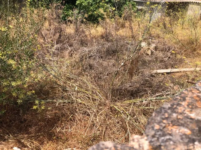 Central plot of approximately 277m2 in Ses Salines — photo 2