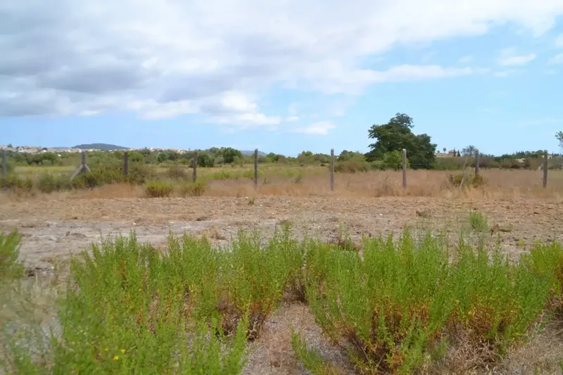 In Campanet, finca of about 14,270 m2 of land, completely fenced, with several water wells, town water and Gesa electricity. Views to — photo 3