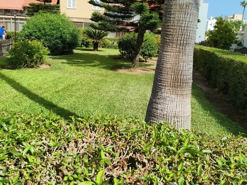 Bright flat with unobstructed mountain views and communal garden in Can Pastilla — photo 3