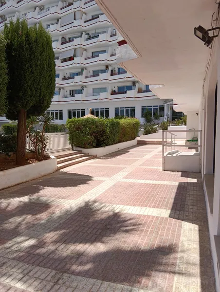3 premises for sale together in Siesta 3 — photo 7