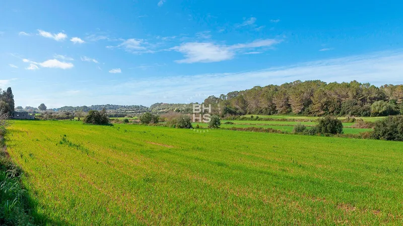 Country plot for sale in Muro — photo 3