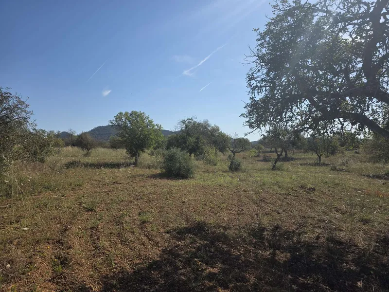 Exclusive building plot with panoramic views — photo 9