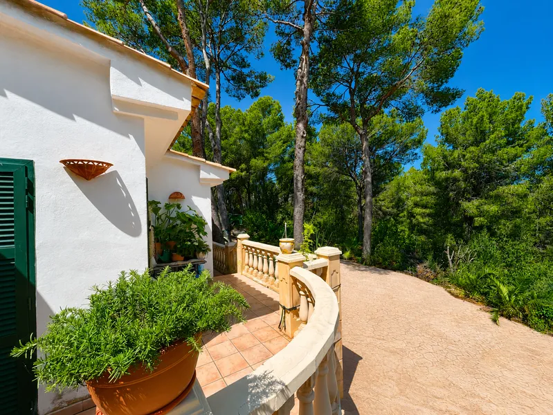 Investment villa with large plot and renovation potential in Nova Santa Ponsa Mas — photo 5