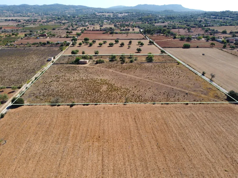 Buildable plot in Felanitx of 21,710 m2 — photo 6