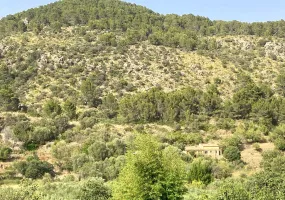 Charming Country House in Puigpunyent — photo 8