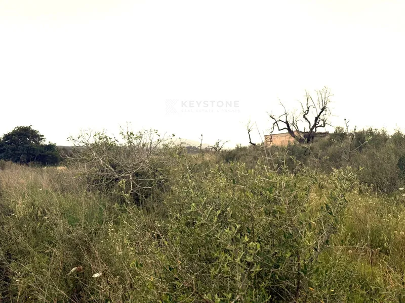 Plot — photo 11