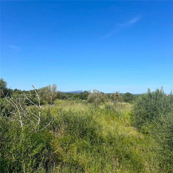 Exclusive property of approx. 15,155 m², suitable for building — photo 2