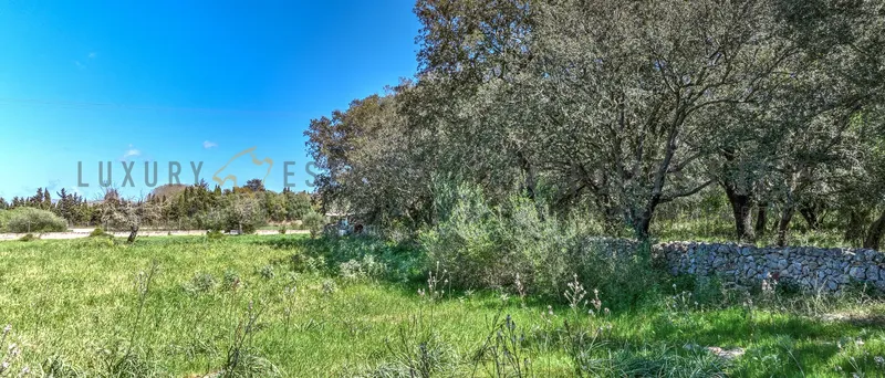 Idyllically situated plot in Buger with building permit for a country house with pool — photo 4