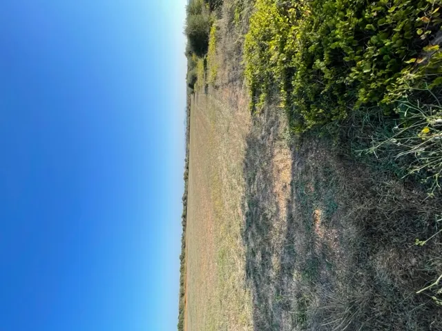 Plot with project in Son Valls — photo 6