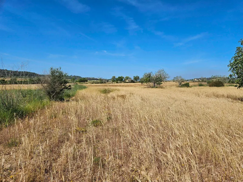 Rustic developable plot in Sineu — photo 1