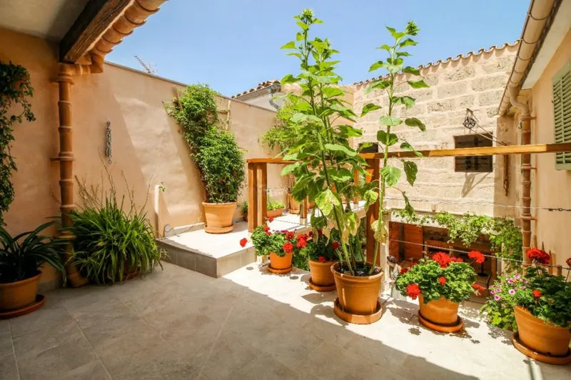 Sold.- Charming oasis in the heart of Pollensa old town — photo 10